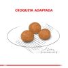 Royal Canin X-Small Adult 2.5kg - Imagen 2