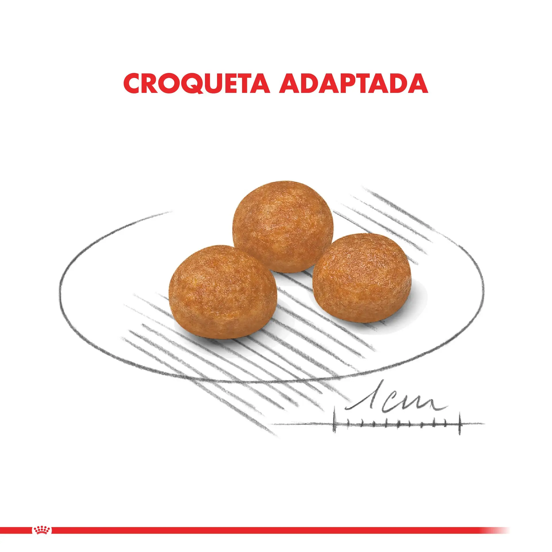 Royal Canin X-Small Adult 2.5kg - Imagen 2